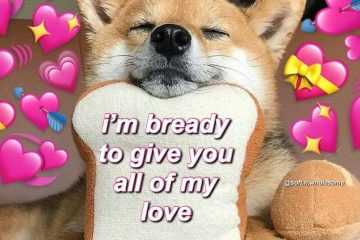 Meme Breddy
