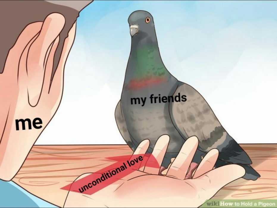 meme pigeon meme
