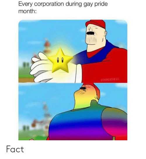 dumb gay pride memes