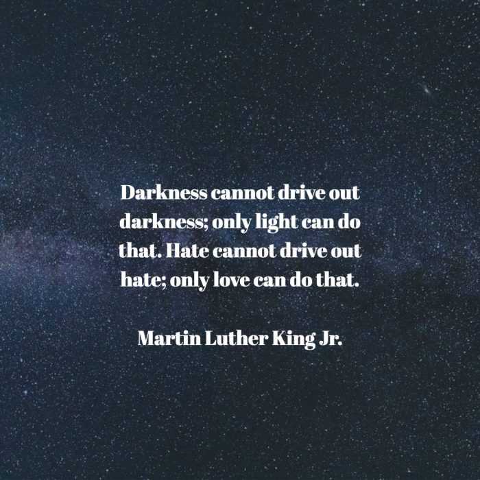 quote mlk darkness