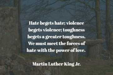 Quote Mlk Hate Begets