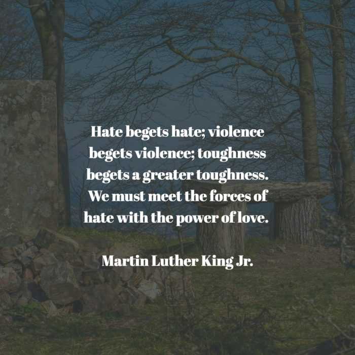 quote mlk hate begets