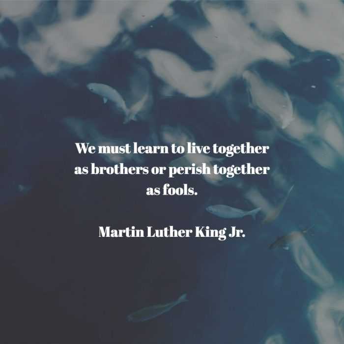 quote mlk learn together