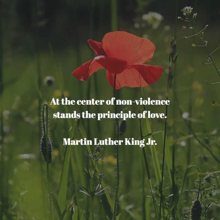 quote mlk non violence