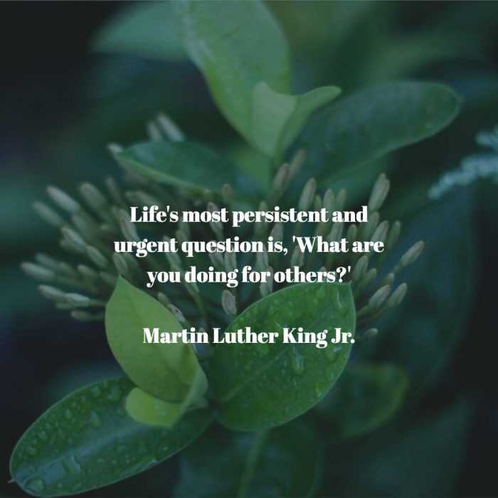 quote mlk persistant