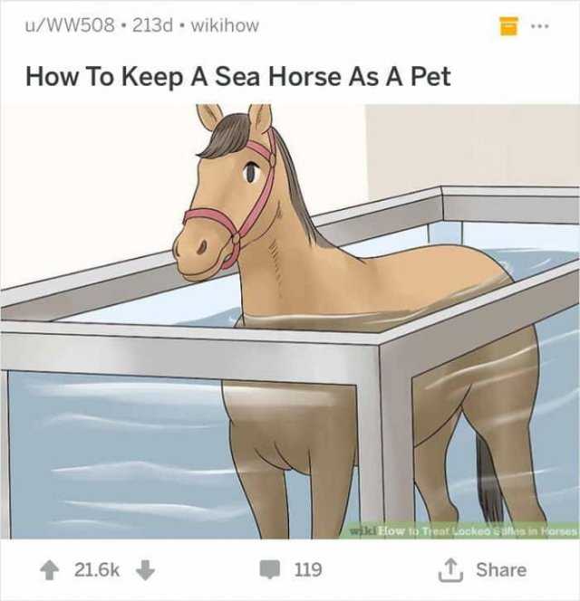 wiki seahorse