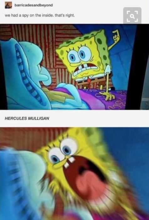 hamilton hercules