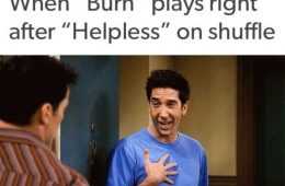 Hamilton Im Fine