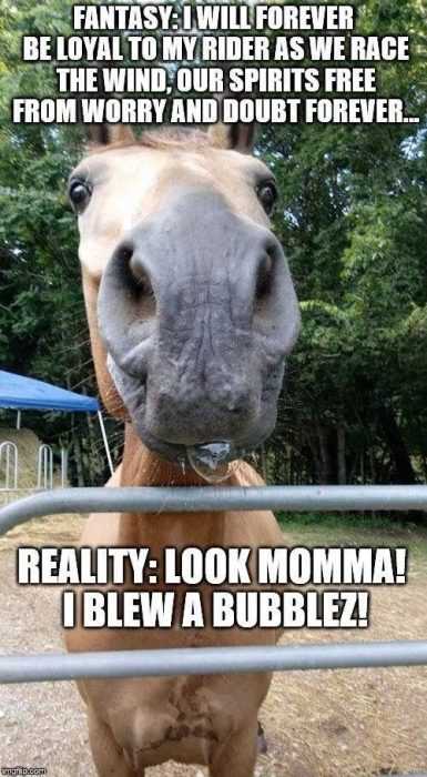 horse-fantasy