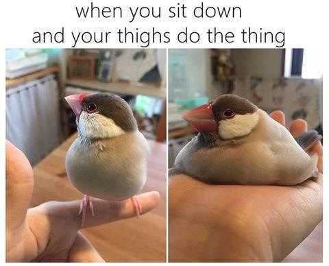 mee-sit-thing