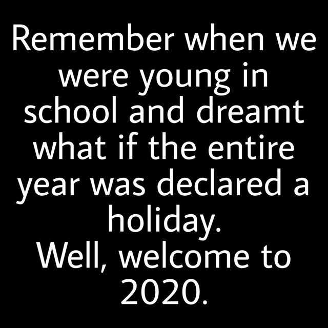 meme-2020-a-holiday