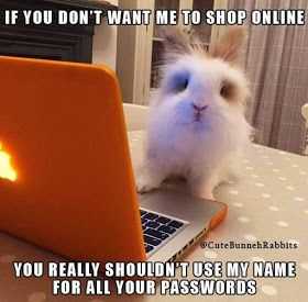 meme-cute-namepassword
