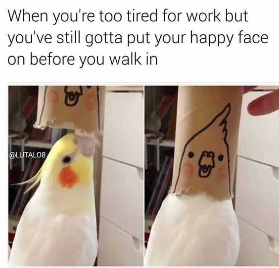 meme-funny-face