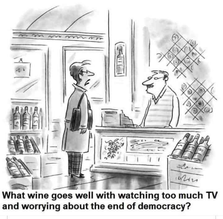 meme-goes-well-watching