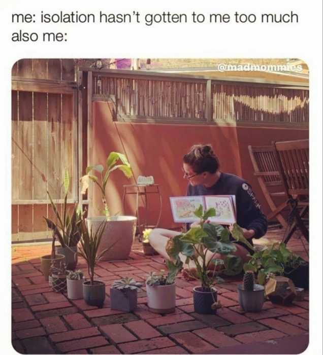 meme-isolation-me