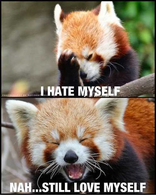 meme-love-myself