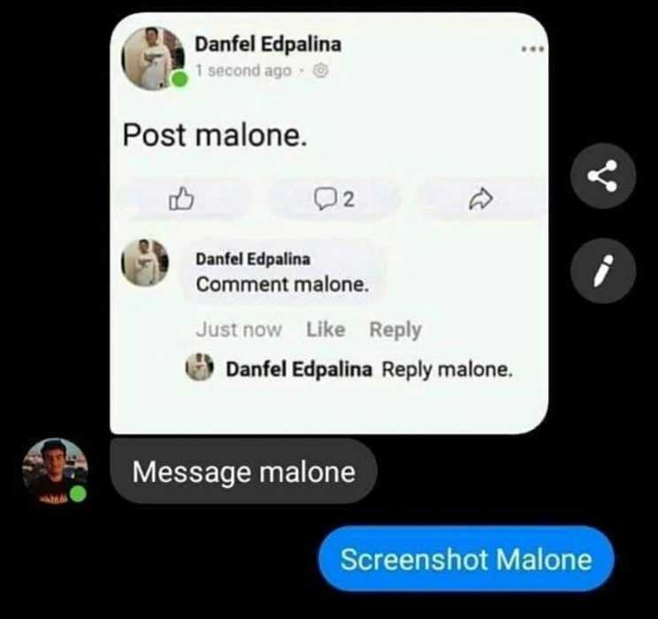 meme-post-malone