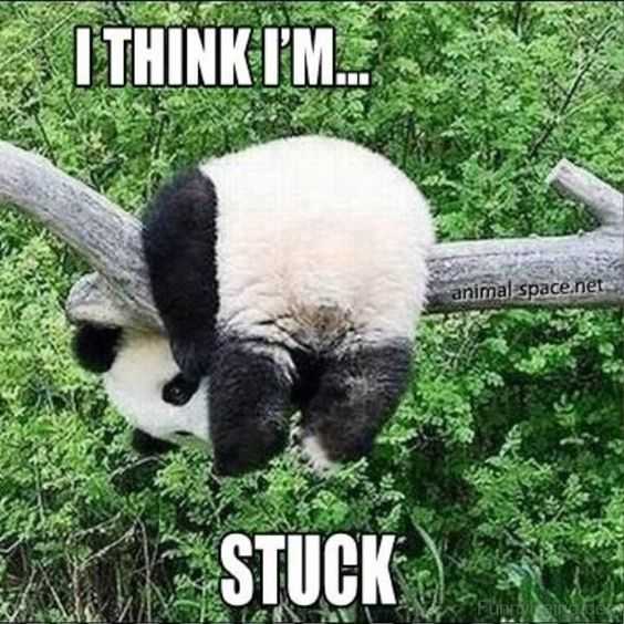 meme-think-stuck