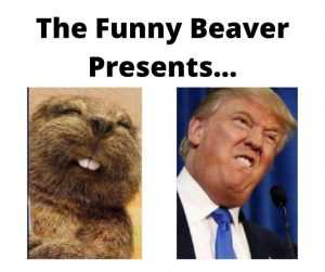 Donald Trump with an expression that looks just like a beaver
