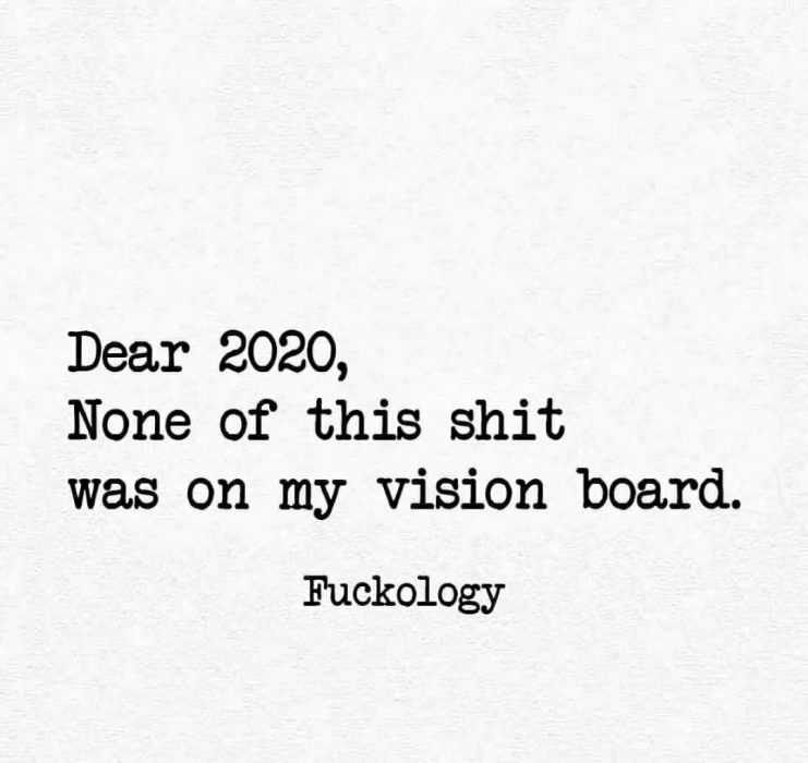 funny quotes about life in 2020