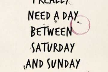 Quote Really Need A Day