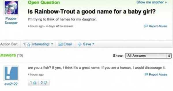 yahoo rainbow trout