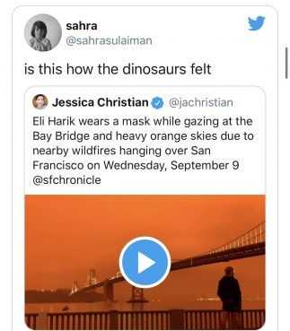 wildfire memes twitter  how dinosaurs felt