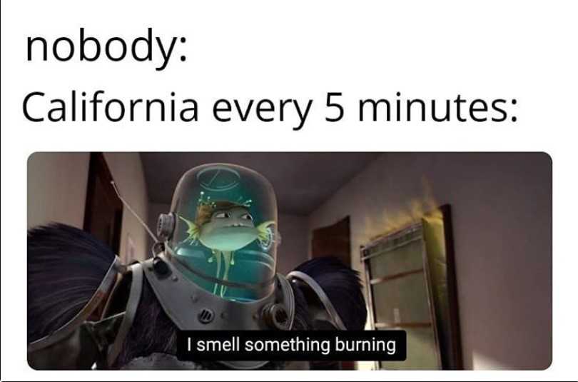 california every 5 minutes 1