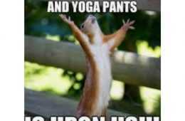 Autumn Equinox Memes