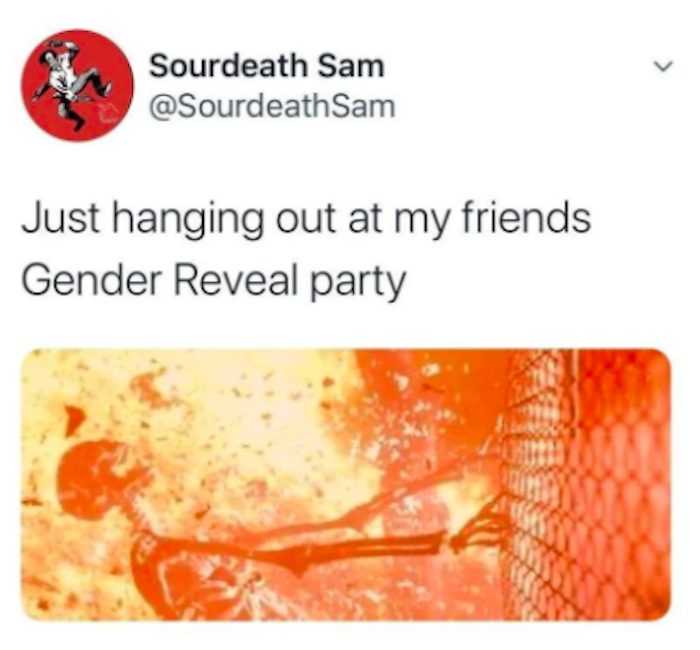 gender reveal party in california  terminator scene