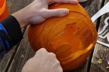 Pumpkin 1004990 1280