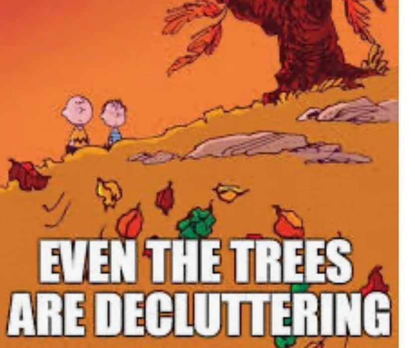 season for tree decluttering