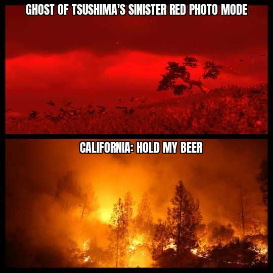 wildfire filter