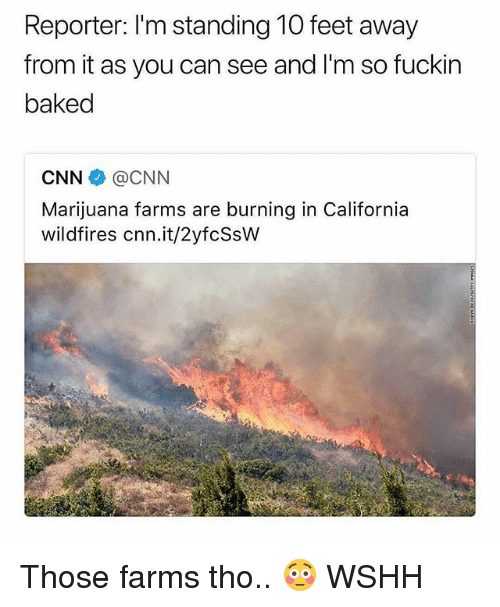 wildfire meme baked