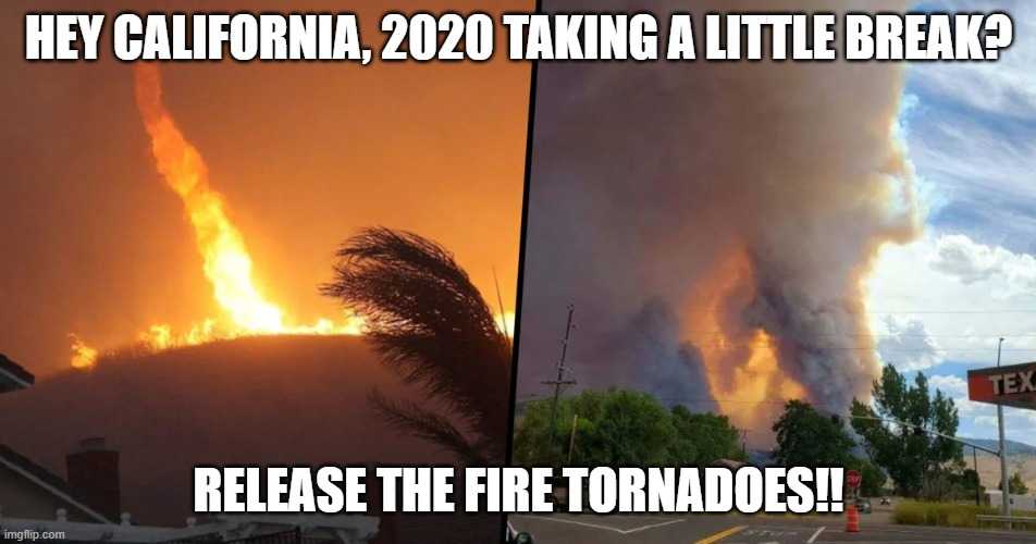 wildfire memes firenados