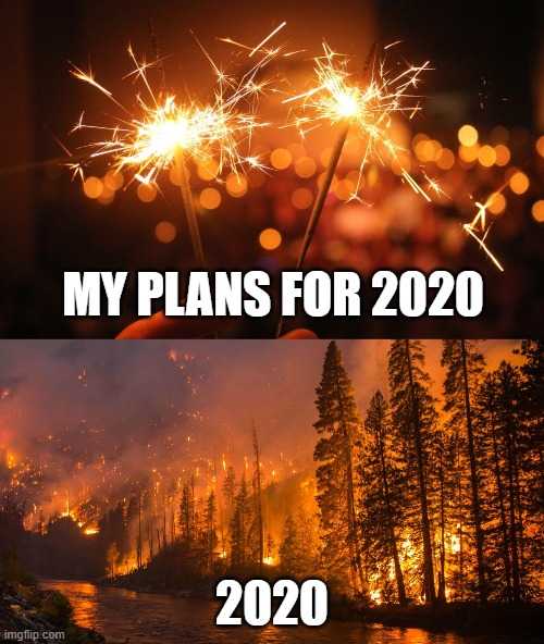 wildfire memes  2020 meme intersects wildfire memes
