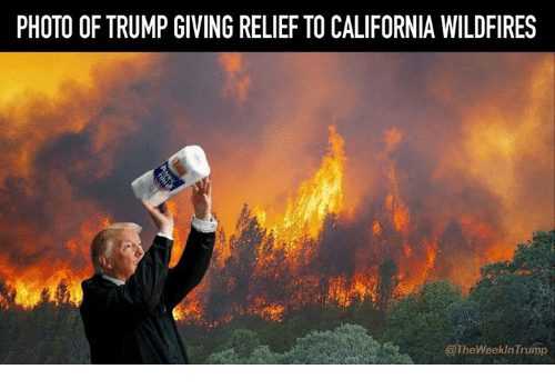 wildflire memes trumprelief