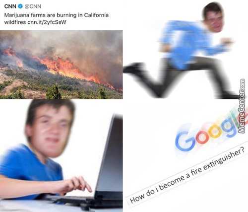 wildlife how do become