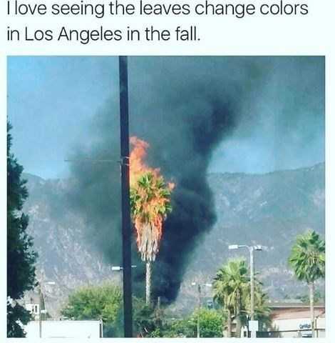 california wildfire meme  even fall leaves changing color looks hollywood