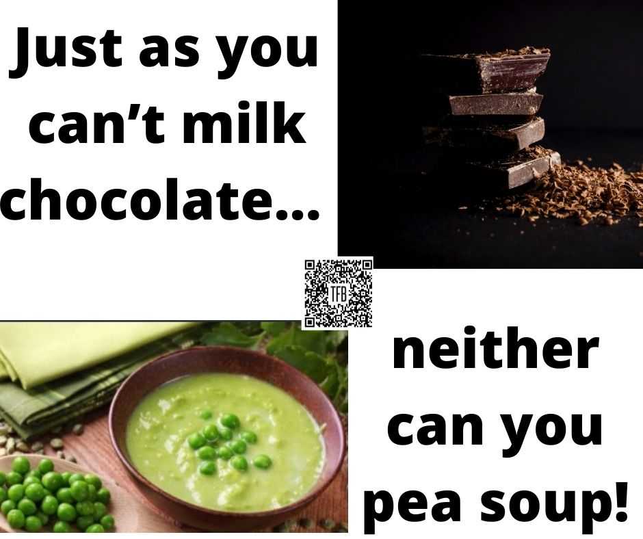 13 funny pun and clever memes  milk chocolate & pea soup