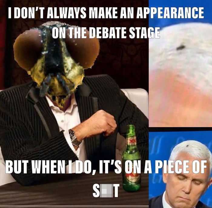 Debate Fly Memes 4  fly on sh*t
