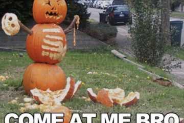 Halloween Meme  Pumpkin Carving Display