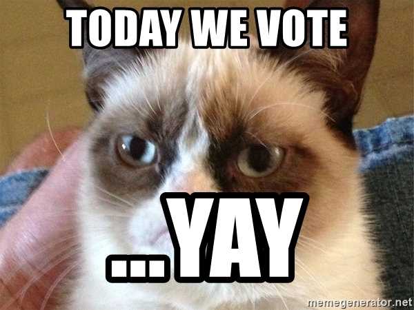 Voting memes 2020  grumpy cat