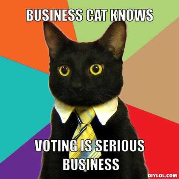 Voting Memes  business cat