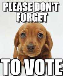 funny Voting Memes puppy  how can you resist them puppy eyes