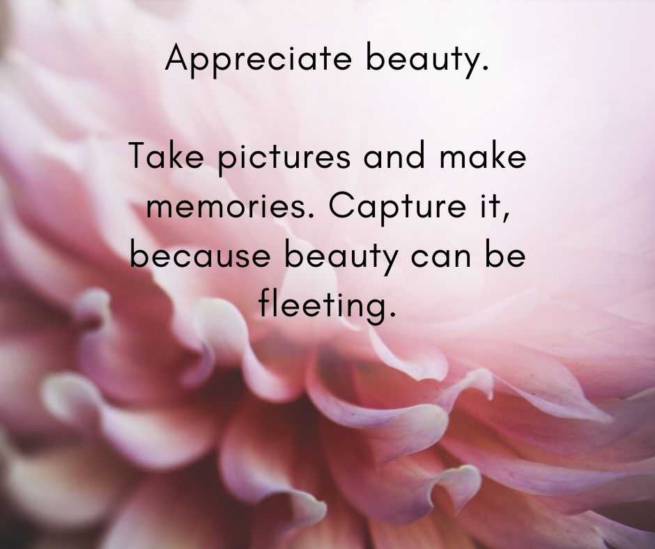 11 Life Lessons  appreciate beauty