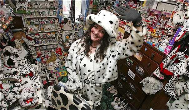 oddest collections  dalmation
