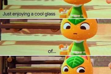 Animal Crossing Meme Juice