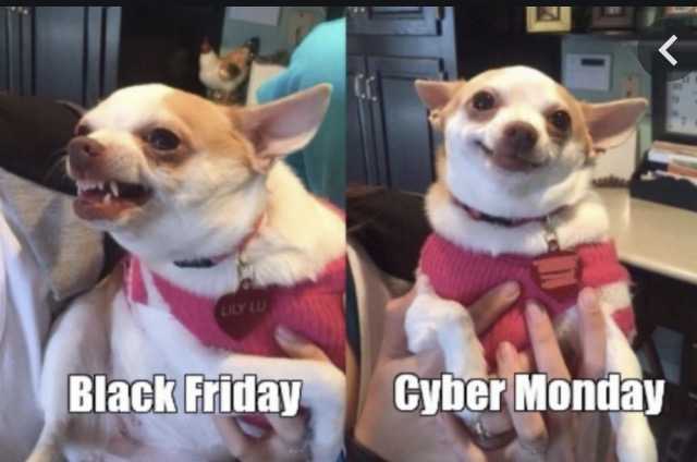 cyber monday animal meme  happy about deals