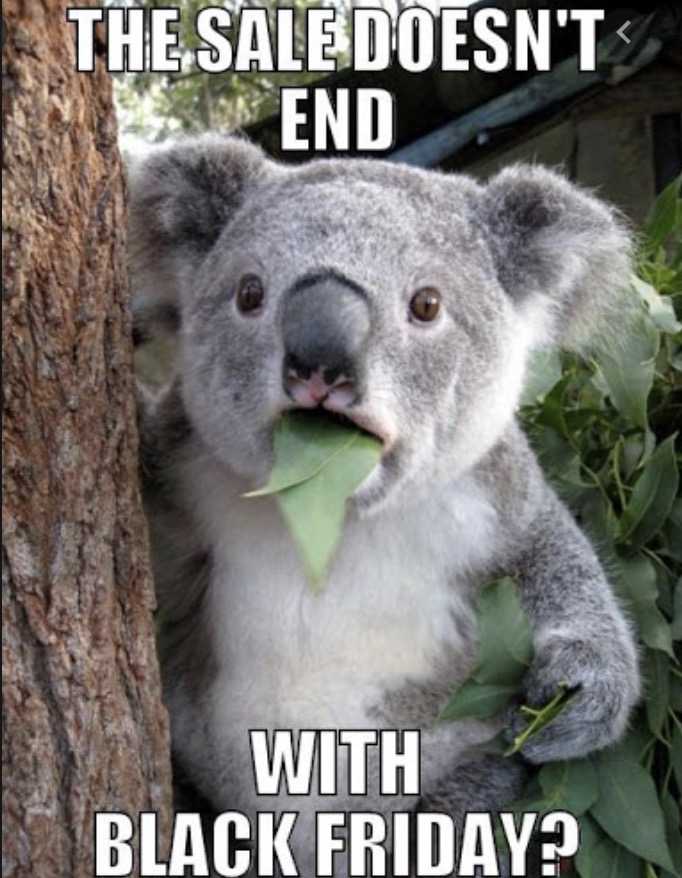 cyber-monday-animal-memes-13 cyber monday animal meme - there is no end